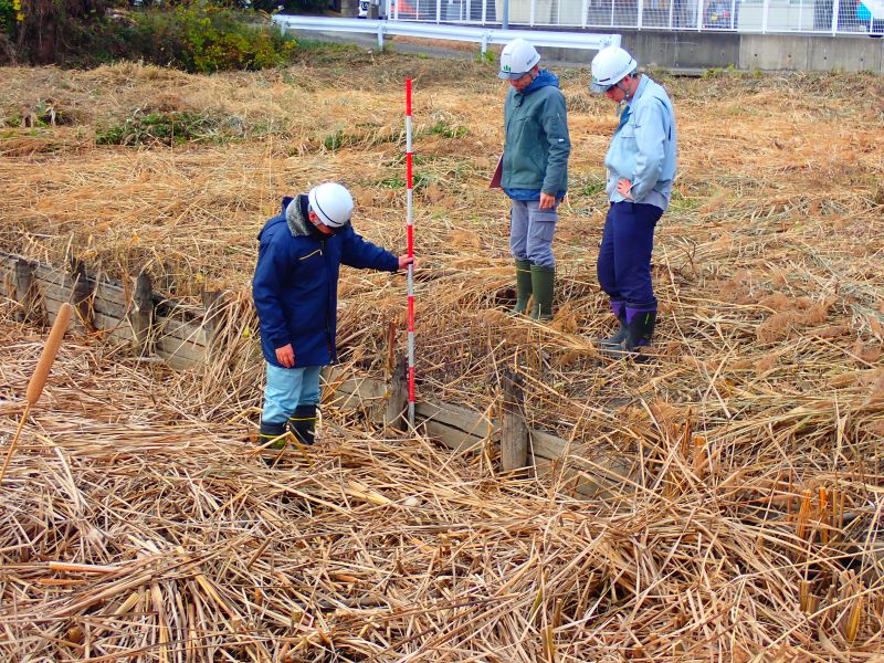 ため池の現地調査を行っている写真